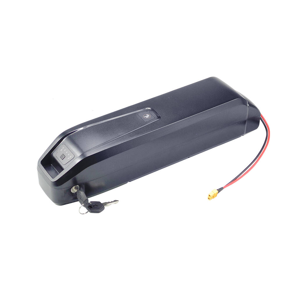 新型S20 Pro 48V 13Ah/20Ah Hailon - Ebike Battery 48V 20Ah Hailong のレビューと価格